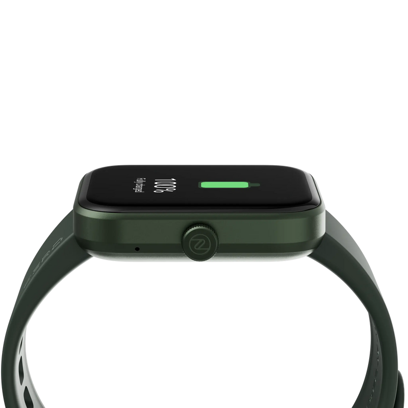 #color_Olive Green