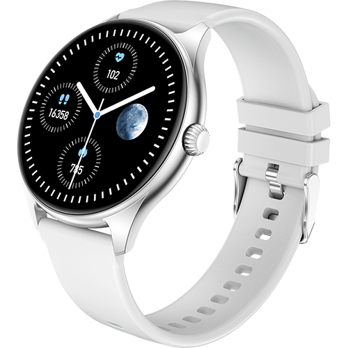 Gray Silver Vision Smartwatch