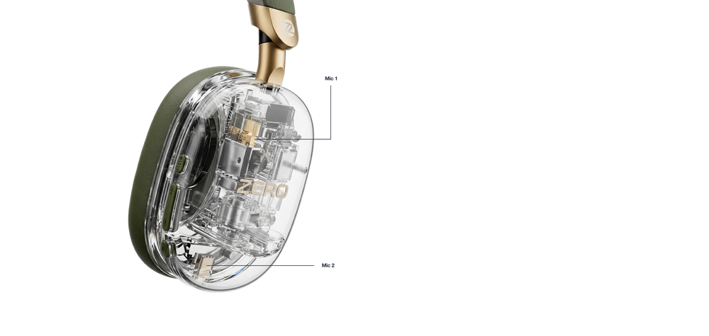 Dual Mic
