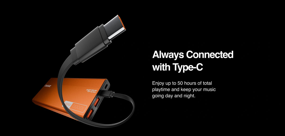 Zero Lumin L-100 10000 mAh Power Bank detail image